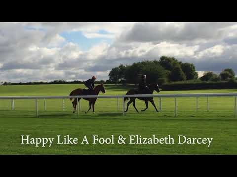 Lady Aurelia, Happy Like a Fool and Elizabeth Darcey workout at York Racecourse
