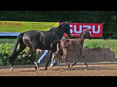 KN 42 v. For Romance - Wolkentanz II