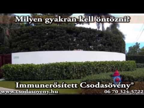 GYIK 56 - Milyen gyakran kell öntözni?