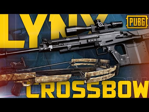 THEY DIDN'T STAND A CHANCE