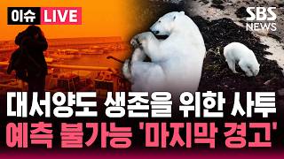 [????이슈] '잿빛 하늘, 핏빛 바다'… 지구가 보내는 마지막 '경고' - 더 시그널 기후 특집 | SBS 이슈라이브