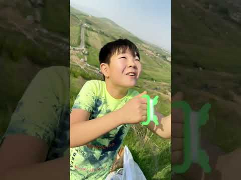 Dad saved a kite 🤪😂 LeoNata family #shorts TikTok