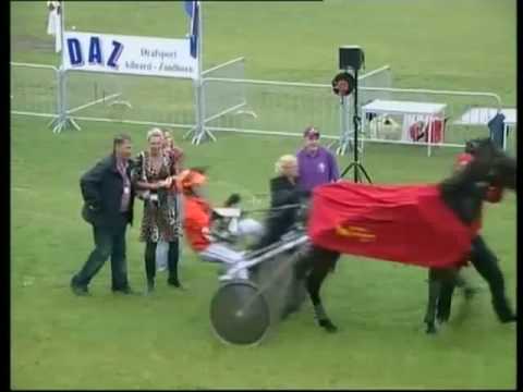 Without a Trace - Rick Ebbinge, 2. Us Postel. 3. Rejo, 4. Vuurvlinder