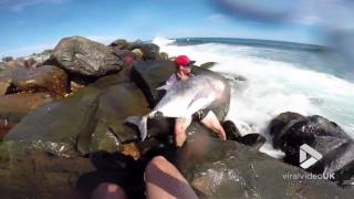 faze tari salveaza un peste mare