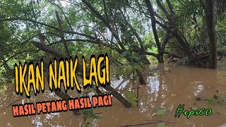 Download lagu Tahan jaring ikan / rezeki air besar / melepas ikan pada jaring di waktu malam (#eps60) mp3