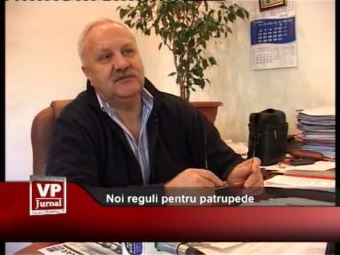 Noi reguli pentru patrupede