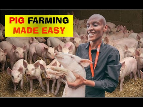 , title : 'How to Start a Pig Farming Business in Nigeria and make money in nigeria'