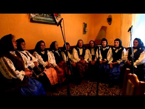 tri pacurarasi ceanu mare 17 aprilie ziuadecj ro