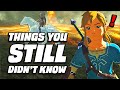 22 MORE Things You STILL Didn't Know In Zelda Breath Of The Wild