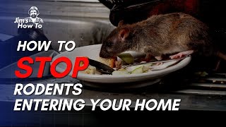 How To Stop Rats and Mice from Entering your home