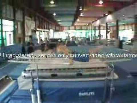 roethlisberger parallel bars dismount