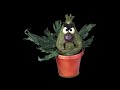 Opening To A Bug S Life 1999 DVD Paramount Version