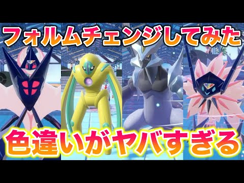 園芸 南アフリカ産紫ニンニク、バイオレットタルバギー