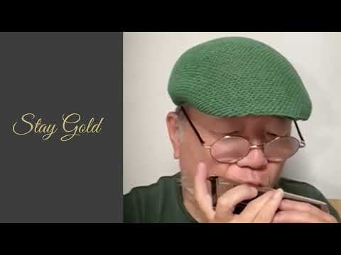 Chromatic Harmonica【Stay Gold（Stevie Wonder）】Tokunaga Sound：徳永延生71才のオールラウンドなハーモニカ吹きが吹いてみた。