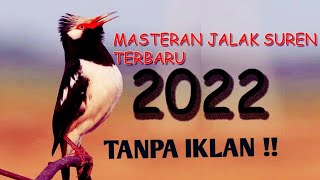 Download lagu TANPA IKLAN || MASTERAN JALAK SUREN FULL ISIAN || COCOK BUAT YANG MACET BUNYI #jalaksuren #masteran mp3 Download lagu TANPA IKLAN || MASTERAN JALAK SUREN FULL ISIAN || COCOK BUAT YANG MACET BUNYI #jalaksuren #masteran mp3
