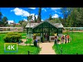 Autumn Walk In Ooty Government Botanical Garden India 4K 60fps
