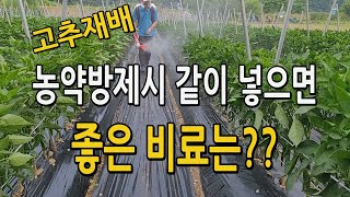 고추재배시 농약칠때 같이 넣으면 좋은 비료는? 인산칼륨 비료의 기능과 효과