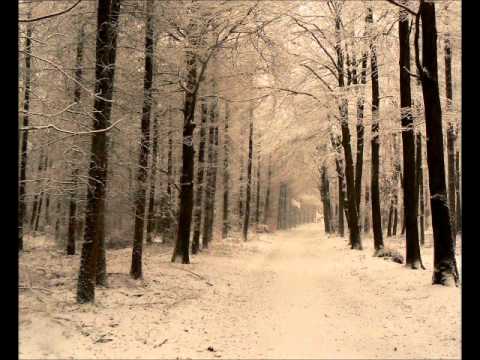 Hovery Covery- Kallis pole sind (sõnad)