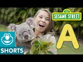 Sesame Street A Is For Animals With The Irwin Family