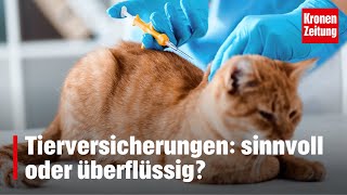 Krankenversicherungen für Haustiere: sinnvoll oder überflüssig? | kron