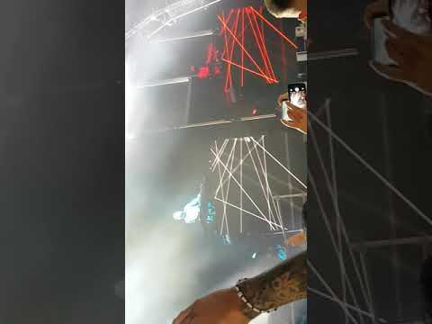 [Creamfield] Prophecy - Tchami ( #Tchami) and Malaa( #malaa)