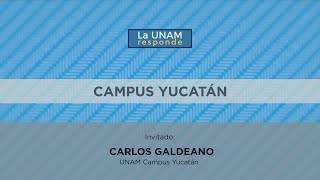 Campus Yucatán. La UNAM responde 670