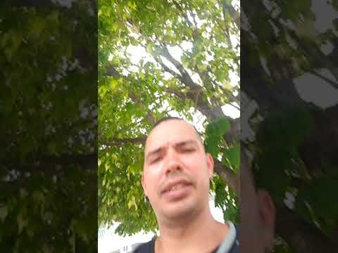 Momento destacado en directo Parque Calixto García en Holguín Cuba 🇨🇺 2026