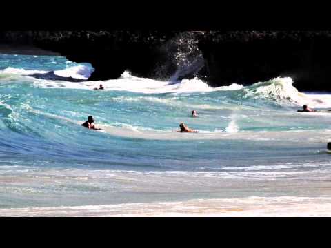 Rodrigo Leão - Imortal