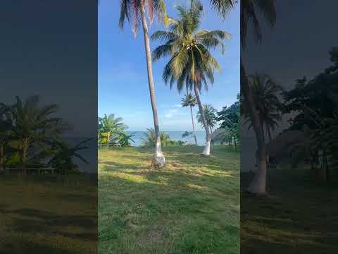 Los espejos, Puerto Escondido Córdoba