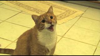 Cover art for point grind