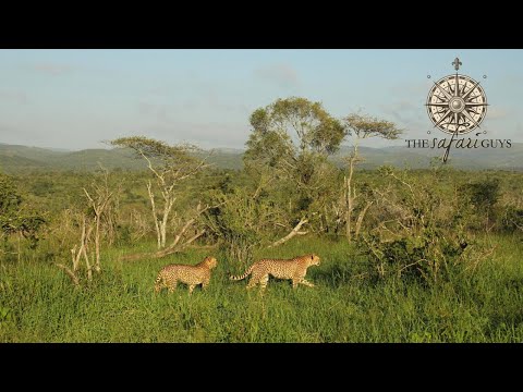 Amakhosi Safari Lodge | KwaZulu-Natal, South Africa