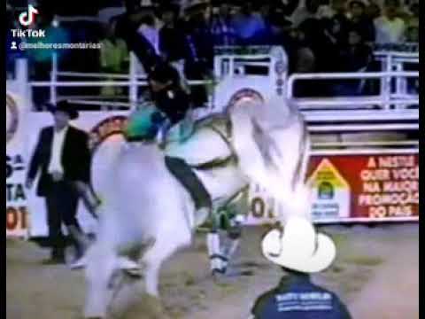 MARCELO SOUZA CRUZ X FORRÓ PESADO - RODEIO DE BARRETOS 2001