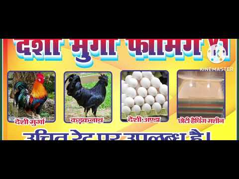 Brown sonali hatching egg, packaging type: box