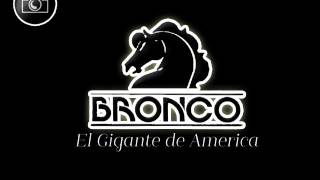 Bronco el Gigante de America,corazon de perro