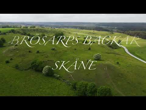 Brösarps Backar  / Skåne