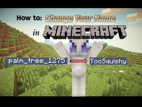How to Change Your Name in Minecraft PC/Mac Edition!...