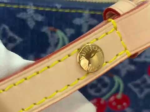 Louis Vuitton x Takashi Murakami Coussin PM M14978 Denim Cherry Rainbow Monogram Handbag