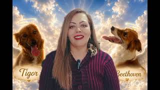 A SINTONIA SINFÔNICA DE TIGOR E BEETHOVEN #gratidão 