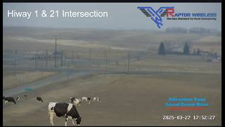 Traffic Cameras for Hiway 1, 21, 9 in Wheatland County and Rockyview County, Alberta