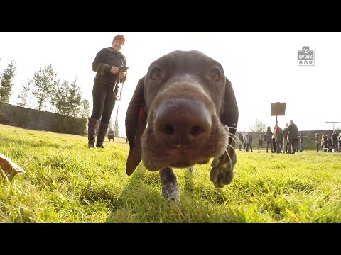 Darz Bór zapowiedź odcinka 136