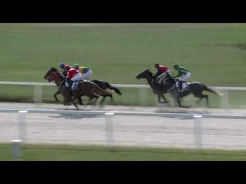 2018.09.16. 02. futam - DETHRONE HENDIKEP (III.o.) (szintetikus pálya)