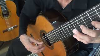 Download lagu Ferdinando Carulli  Op.124-5 Allegretto 'Le répertoire des élèves' フェルディナンド・カルリ mp3