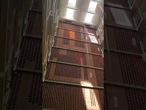 29 Concord Ave #510(1)