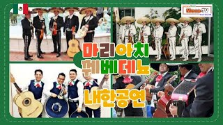 #Mexico #멕시코 #마리아치 알고 싶은 나라 멕시코  "(Mariachi Quevedeno visita de corea)"마리아치 내한공연 #메카알라미 #mecaalami