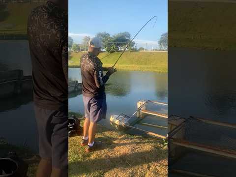 Toma linha bicho bruto.  Pesqueiro pentagono sao miguel arcanjo-sp