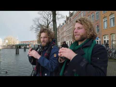 Vroege Vogels - Alle meeuwen verzamelen