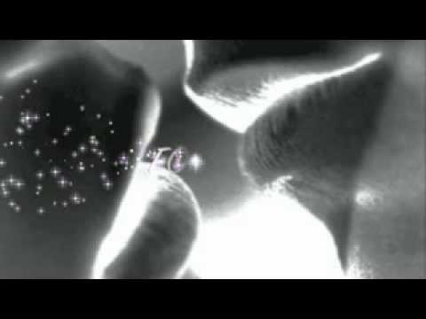 Sammy Love feat.Angelyna:FOREVER