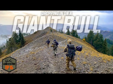 We found a GIANT BULL.... LOF 4.0 EP 15