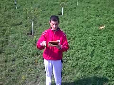 Romanticu Y Copaceanca