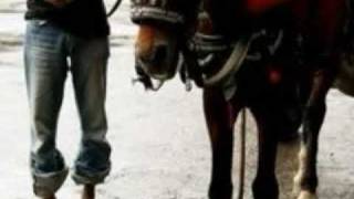 Rod Stewart - An Old Raincoat Won't Let You Down